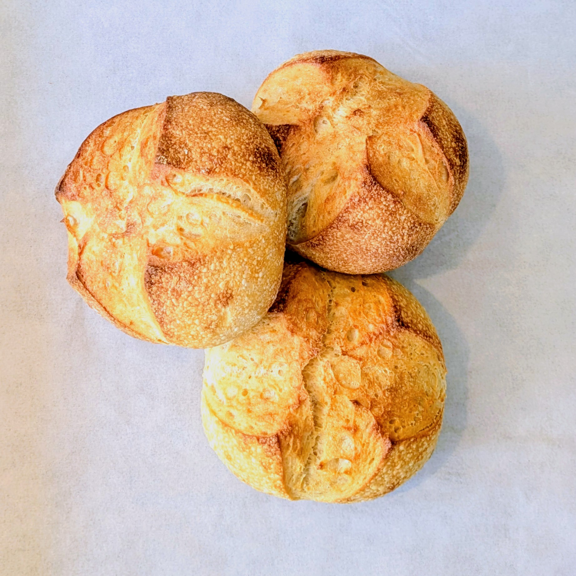 Brio sourdough boules x3