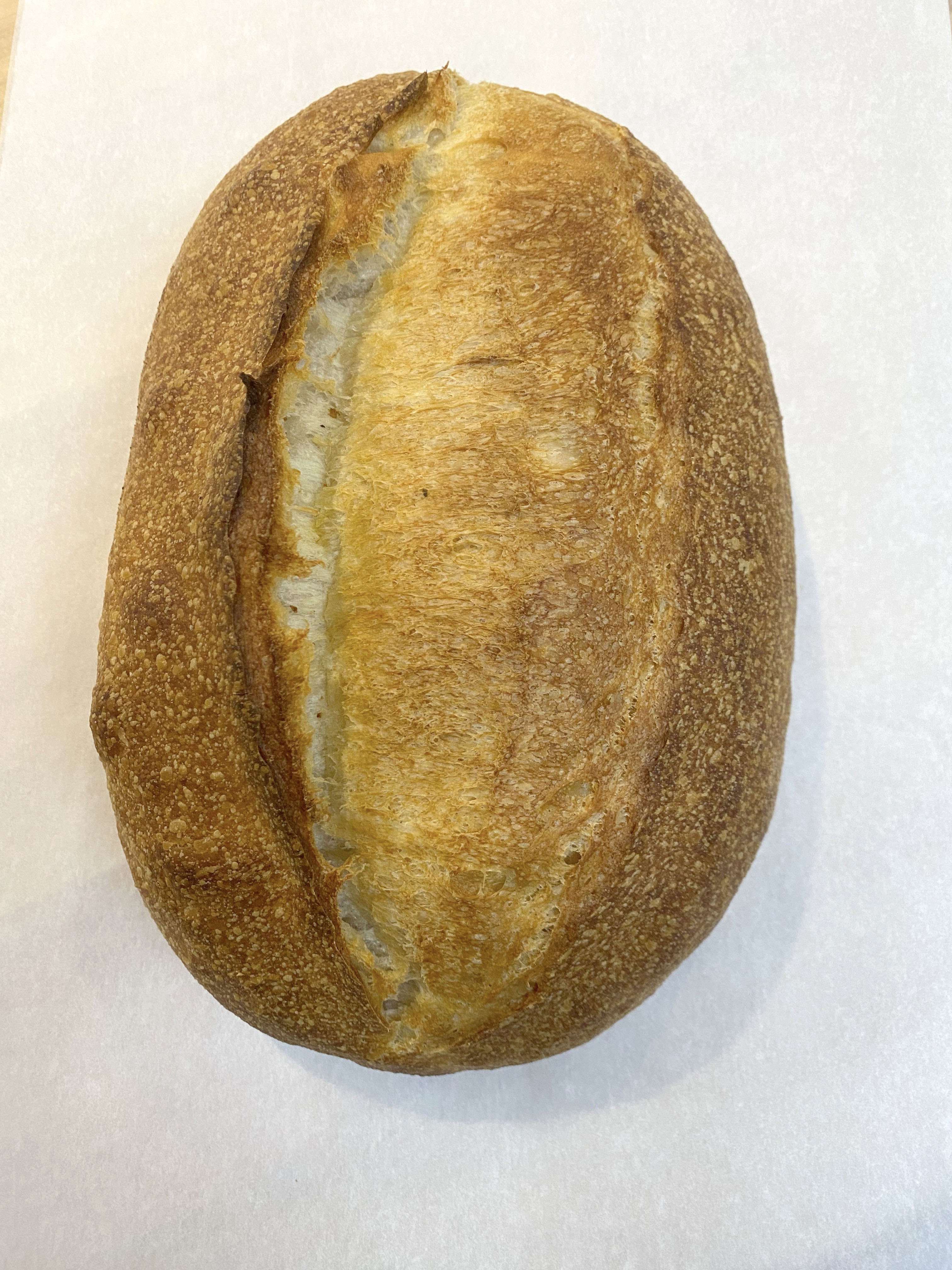 A Brio sour French loaf